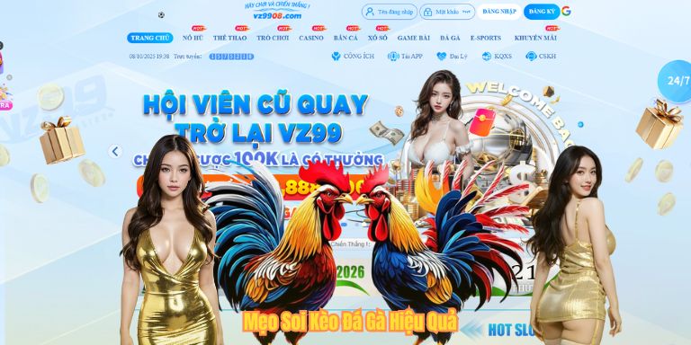 Mẹo Soi Kèo Đá Gà Hiệu Quả