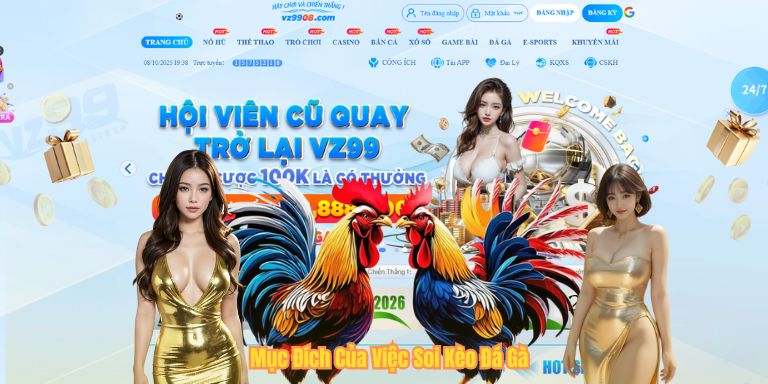 Mục Đích Của Việc Soi Kèo Đá Gà